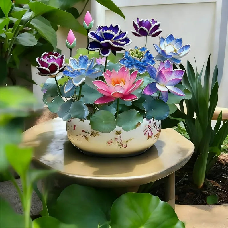 💮Imported Midnight Purple Lotus Seeds | 🔥PACK OF 50 + Free Plant Growth Serum🔥