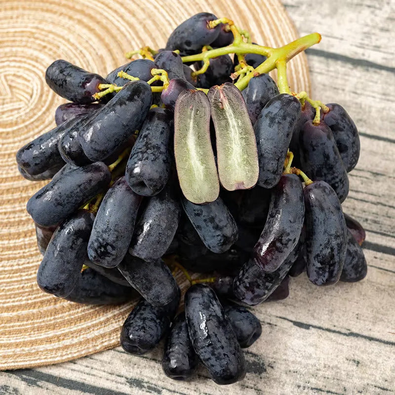 Imported Sweet Sapphire Grape Seeds 🍇 | BUY 1 GET 1 FREE | Pack of 50 seeds