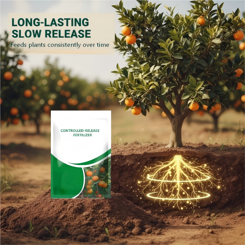 Controlled-Release Fertilizer for Plants | BUY 1 GET 1 FREE