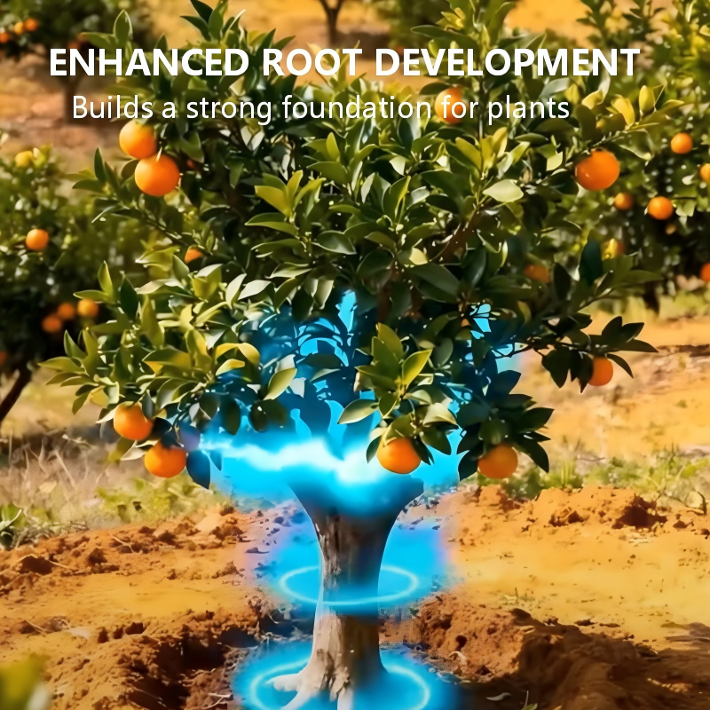 Controlled-Release Fertilizer for Plants | BUY 1 GET 1 FREE