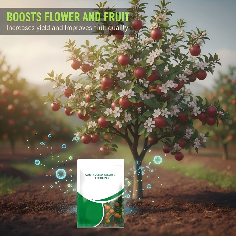 Controlled-Release Fertilizer for Plants | BUY 1 GET 1 FREE