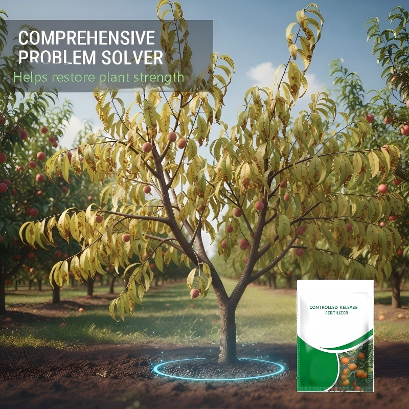 Controlled-Release Fertilizer for Plants | BUY 1 GET 1 FREE
