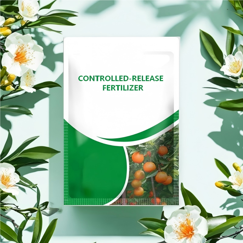 Controlled-Release Fertilizer for Plants | BUY 1 GET 1 FREE